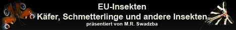 EU Insekten von Marek Roman Swadzba